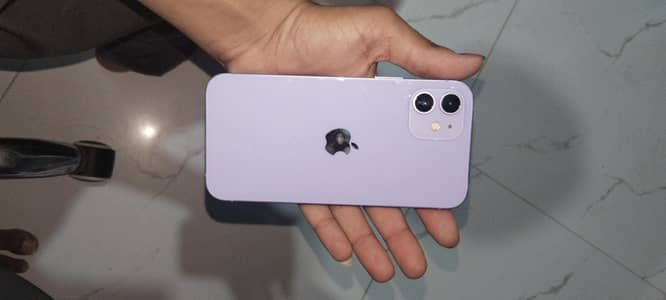 Apple iPhone 12