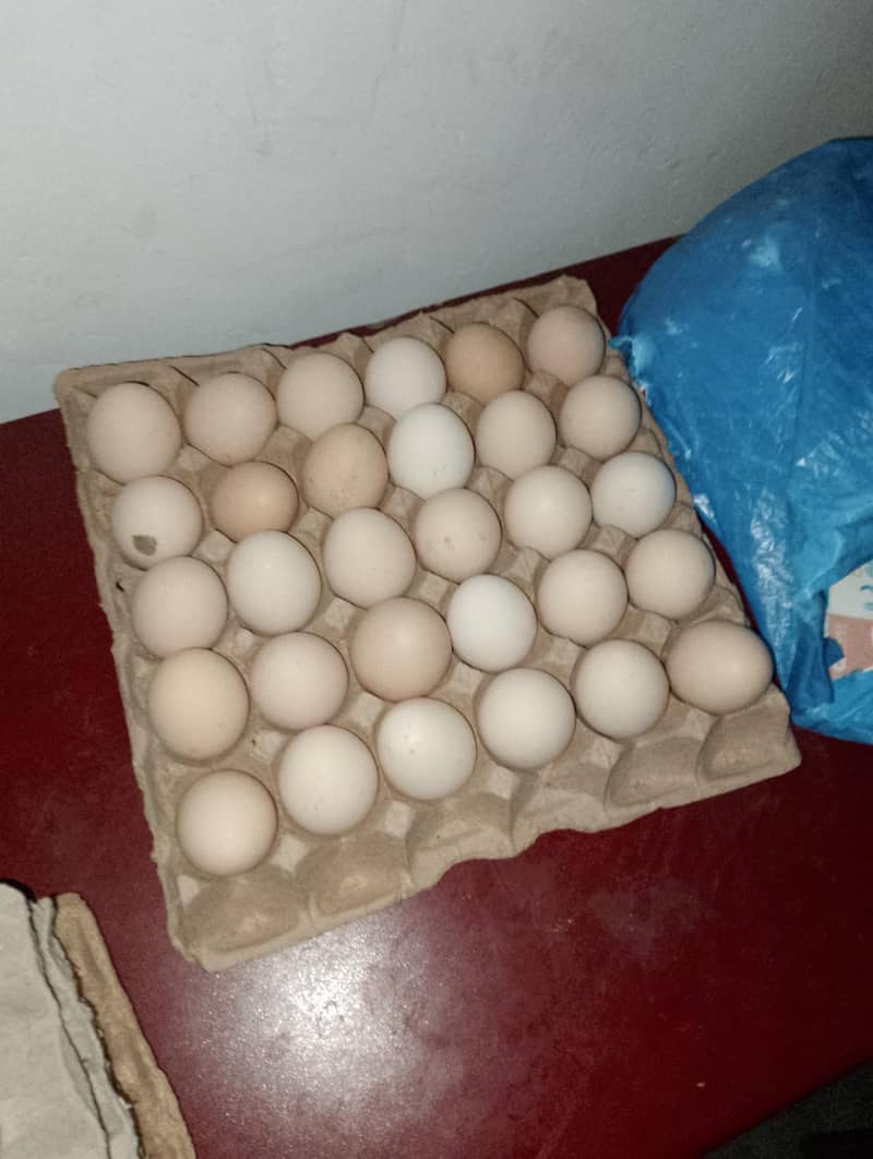 Misri Eggs 0
