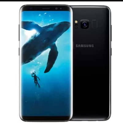 Samsung Mobile S8