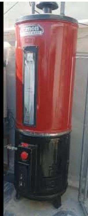 Gas gyzer