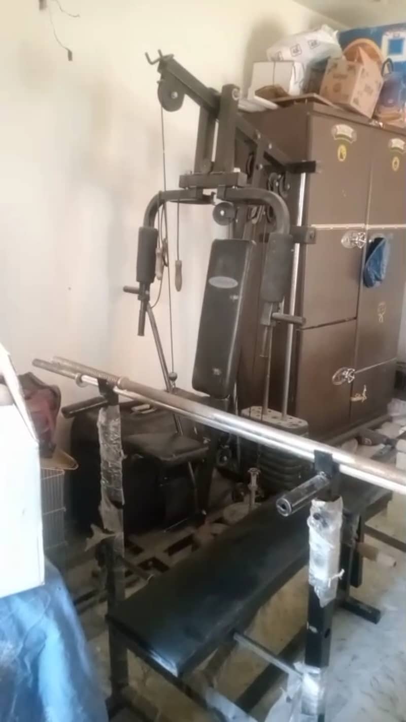 butterfly machine 0