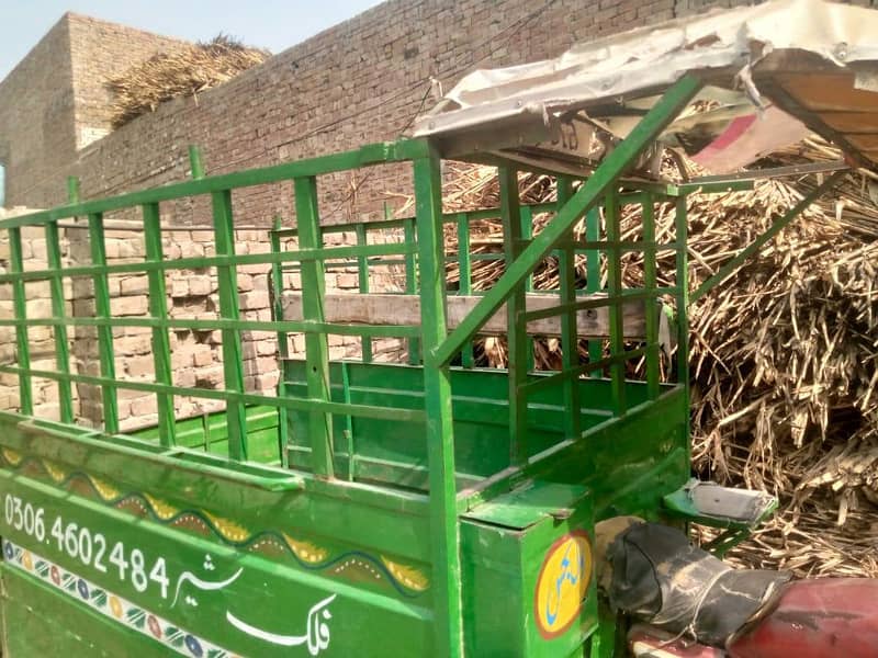 loadar rickshaw 10