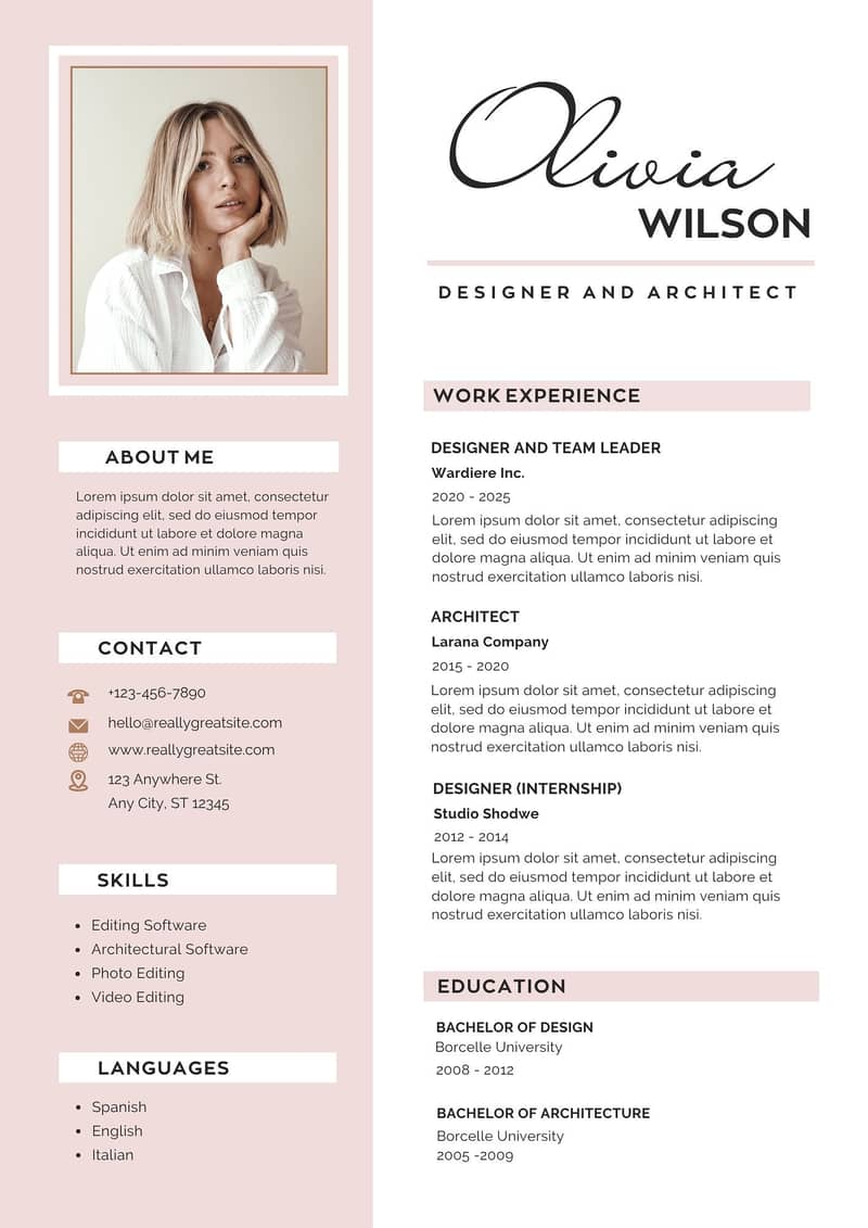 Professional CV Maker 2