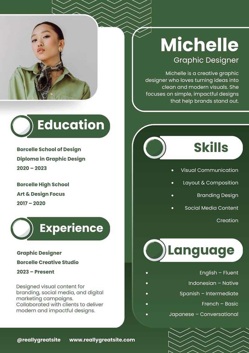 Professional CV Maker 3
