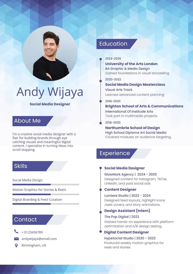 Professional CV Maker 4