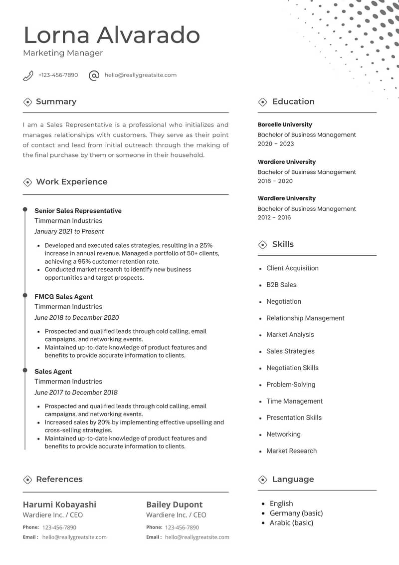 Professional CV Maker 5