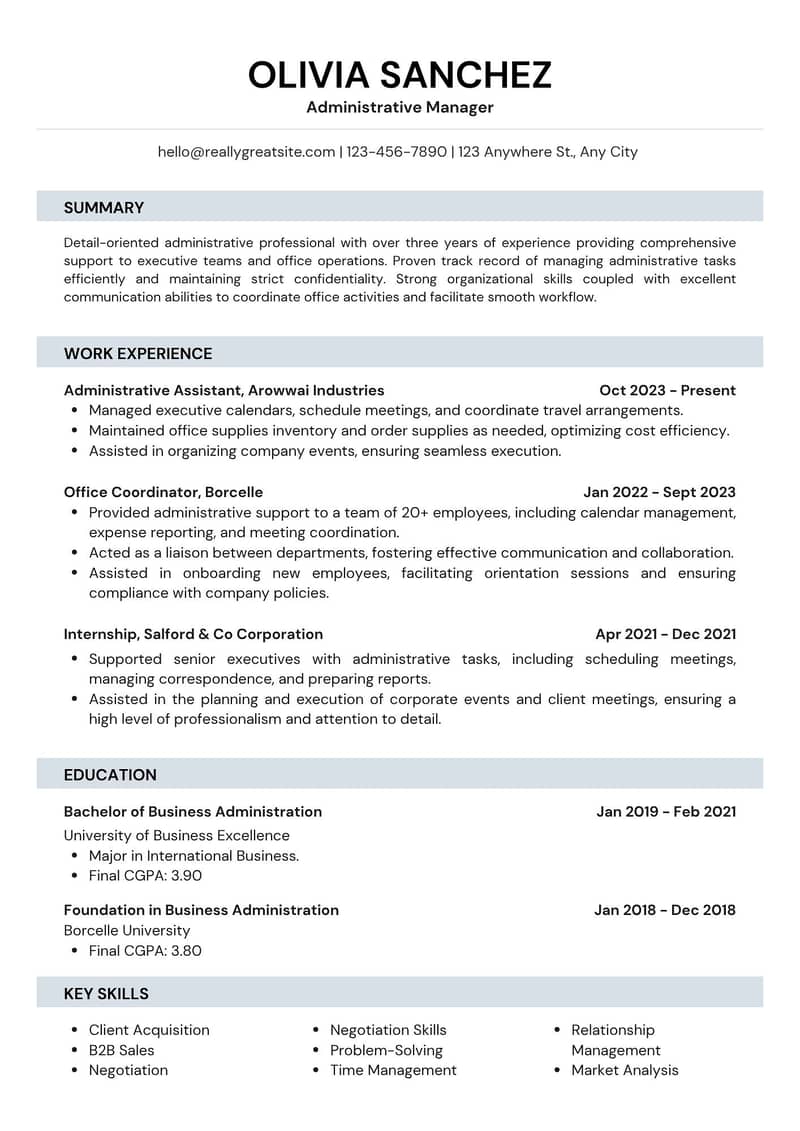 Professional CV Maker 6