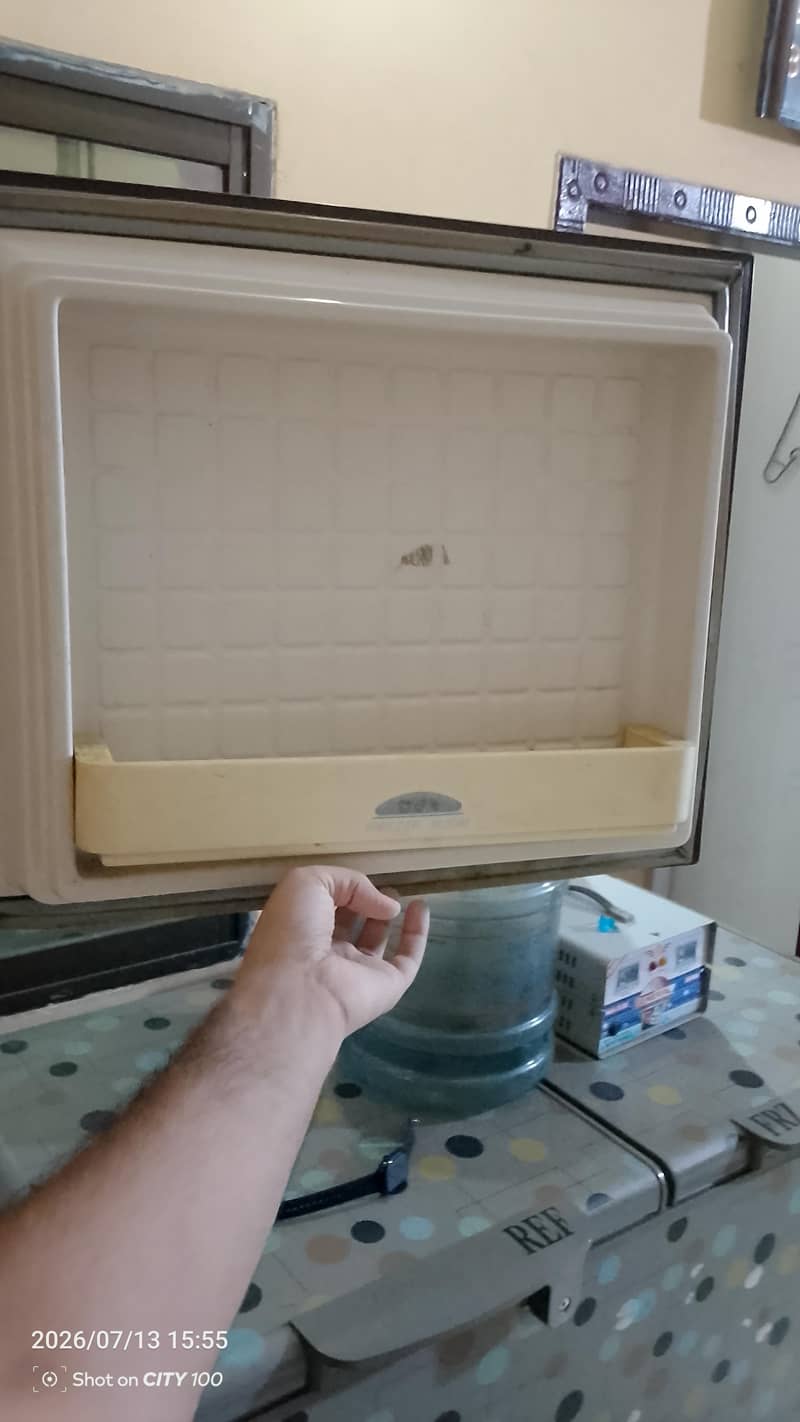 frige 2