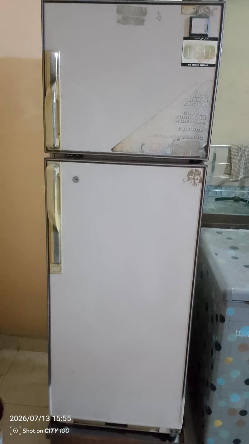 frige 4