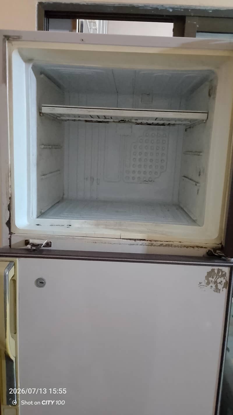 frige 5