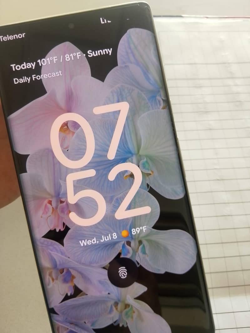 Google Pixel 6 Pro 1