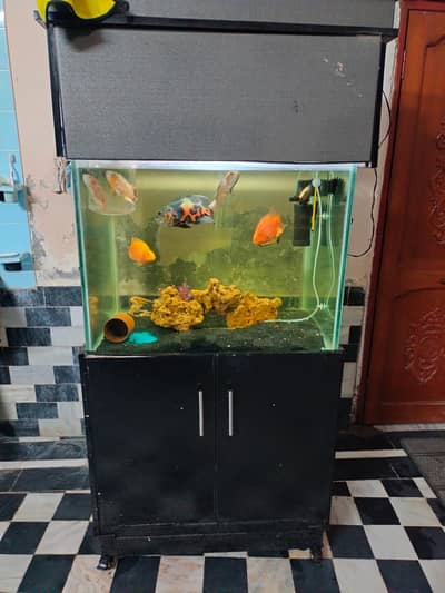 Aquarium for sale including fishes Oscar Fish & parrot fish