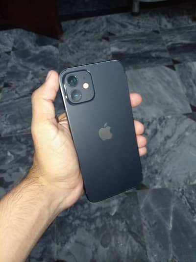 Apple iPhone 12