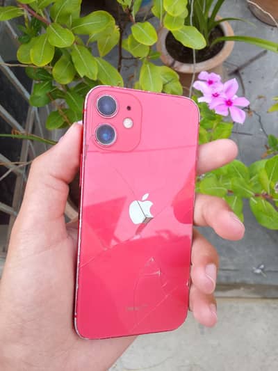 Apple iPhone 12 mini