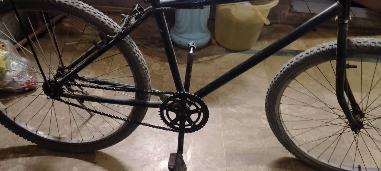 giant cycle 0
