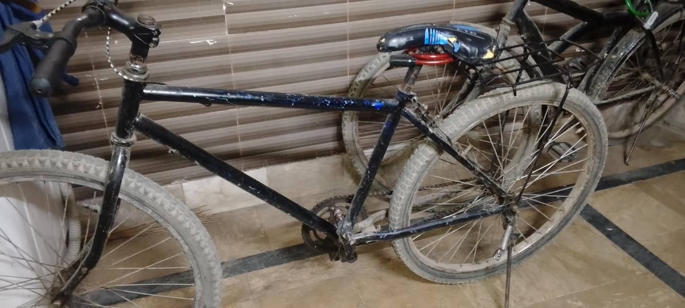 giant cycle 3