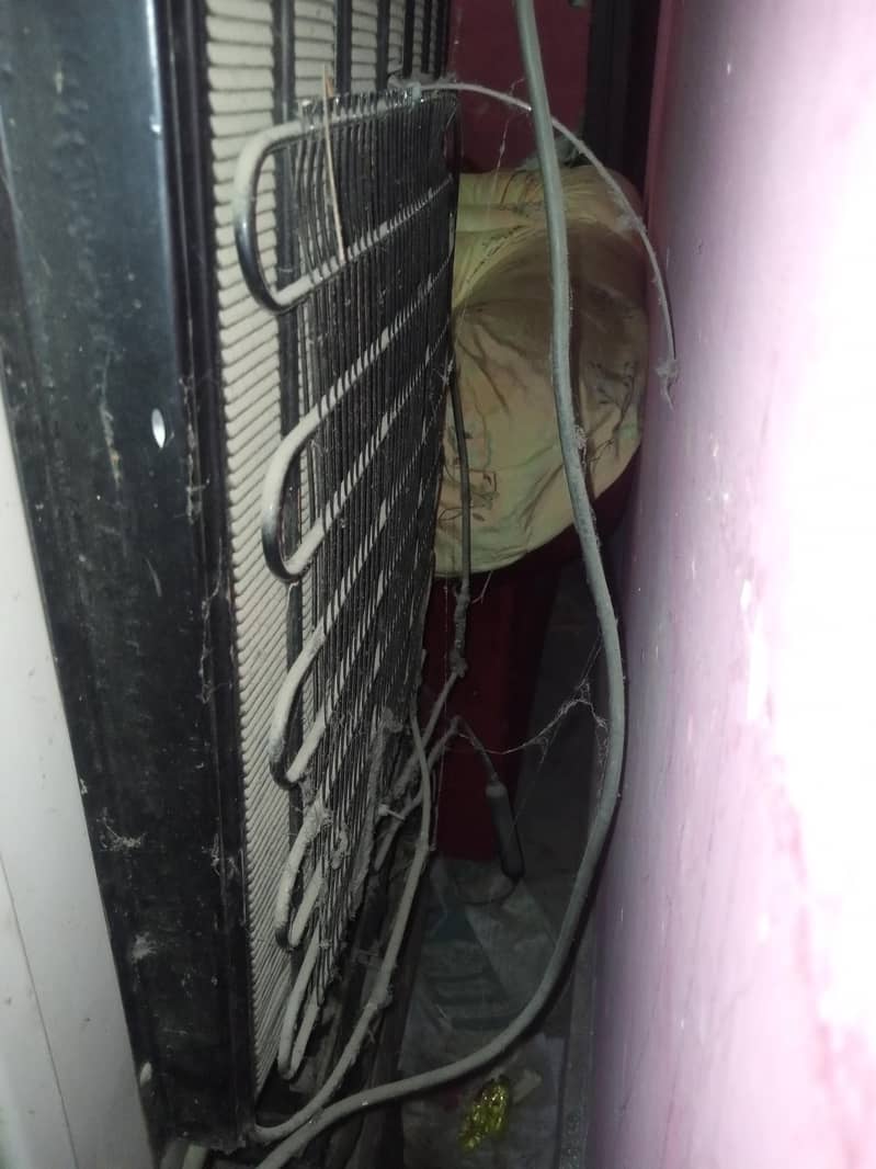 frige 1