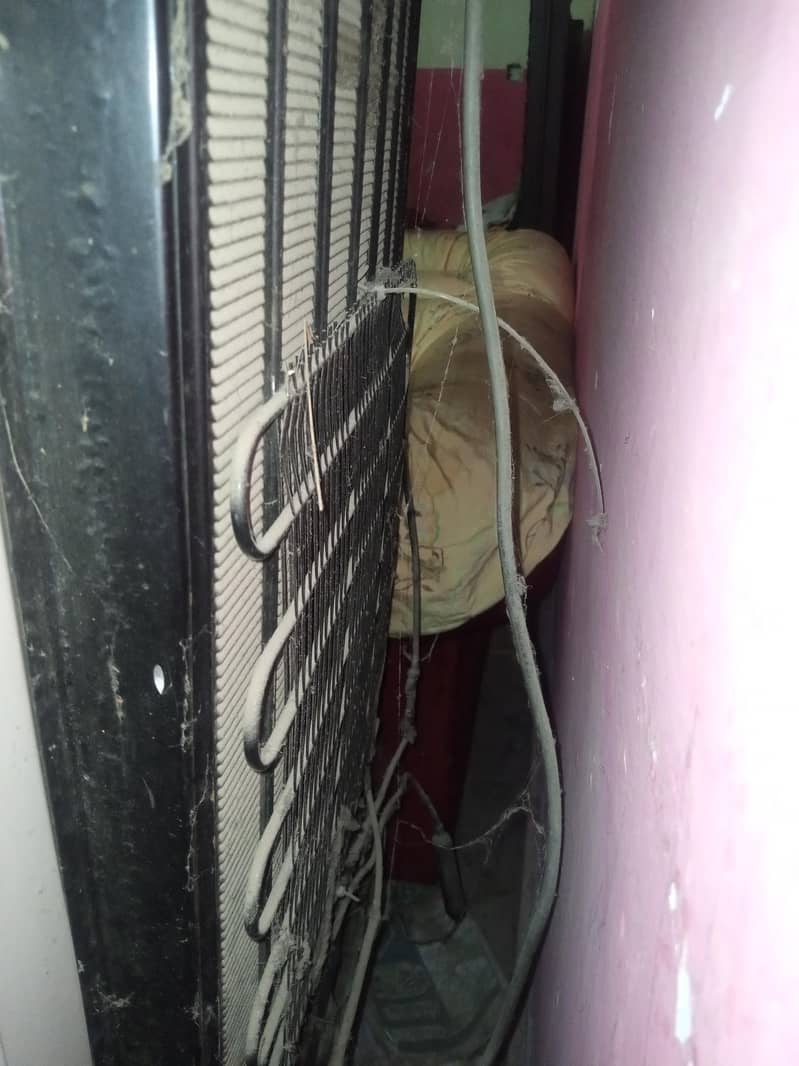 frige 2