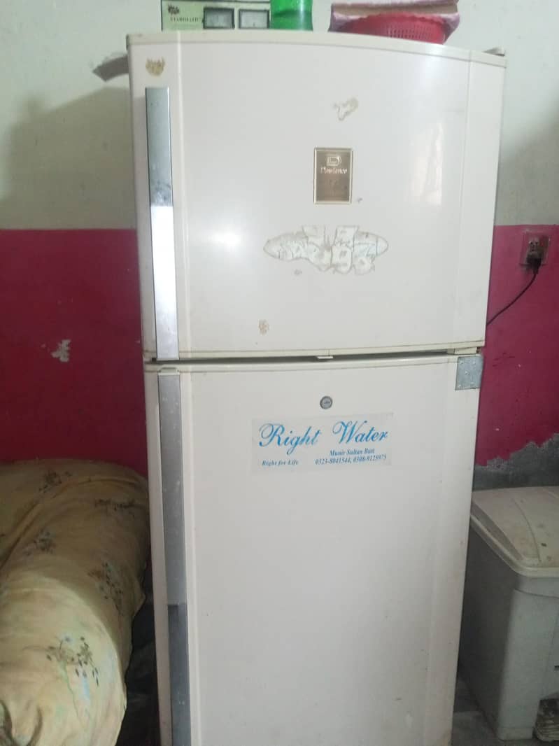 frige 4