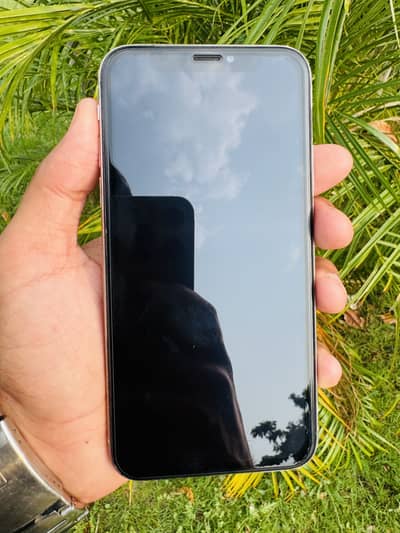 Apple iPhone X