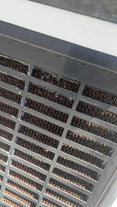 Perfectly working condition cooler for sale