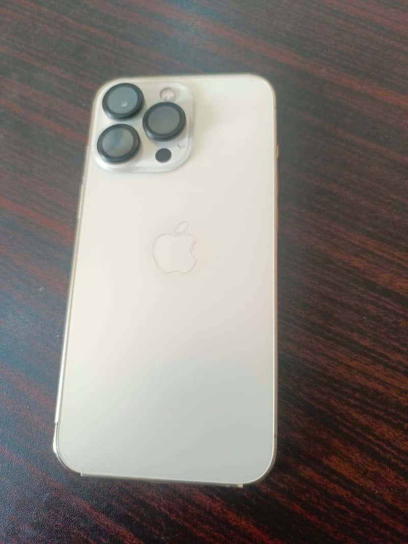 Apple iPhone 13 Pro 1