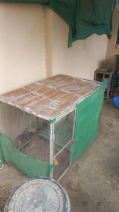pinjra for sell for hens kabotar loha and lakri wala