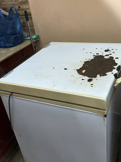 Haier one door fridge and freezer