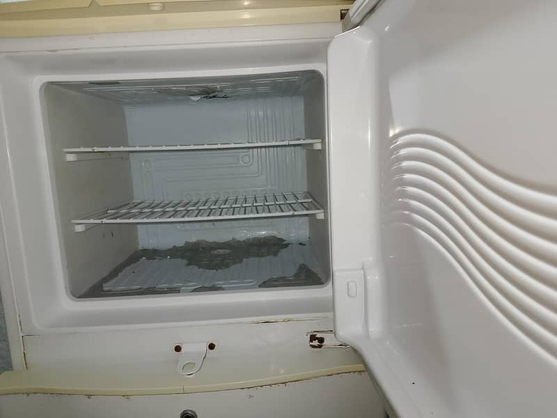 Waves medium refrigerator 2