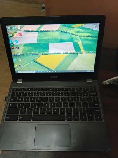 Acer crombook