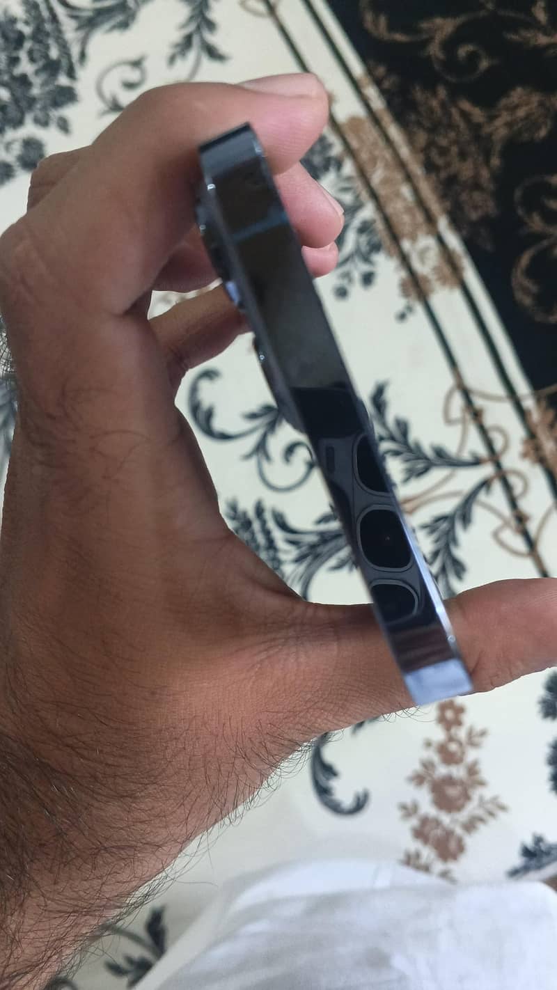 Apple iPhone 13 Pro Max 1
