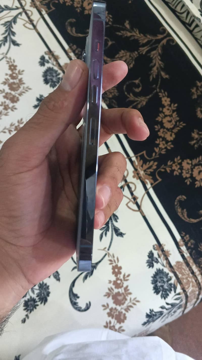Apple iPhone 13 Pro Max 3