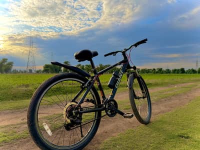 Gient Japanese Imported Bycycle