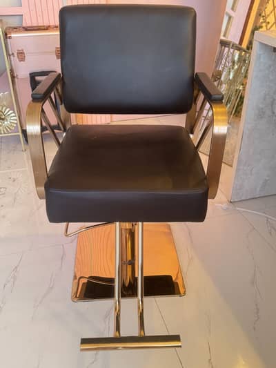 Imported Salon Chairs