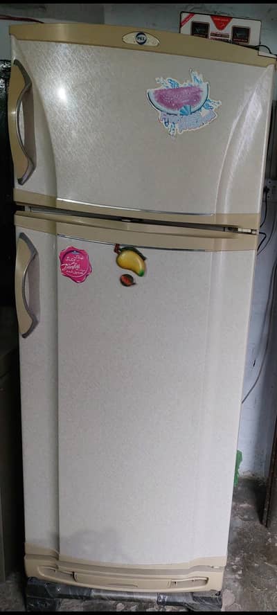 PEL Double Door- Full Size Refrigerator