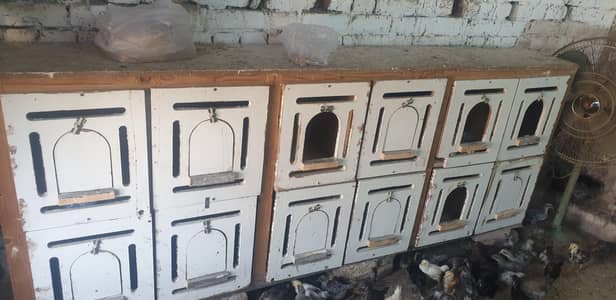 Wooden Kabootar  Breeding Boxes