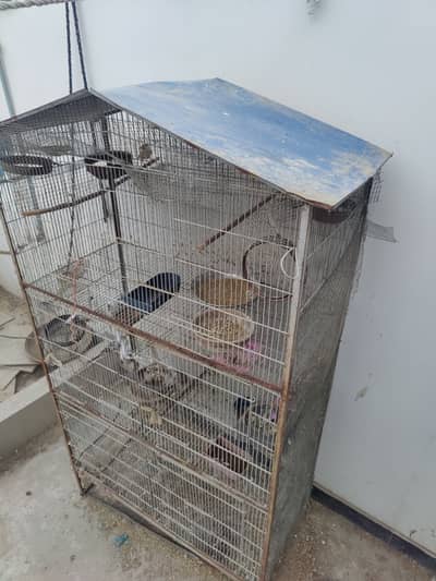 5 portion cage available
