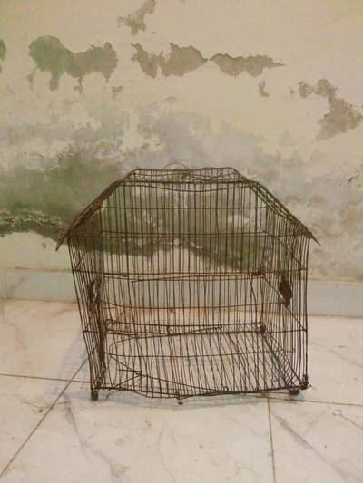 carage for parrots