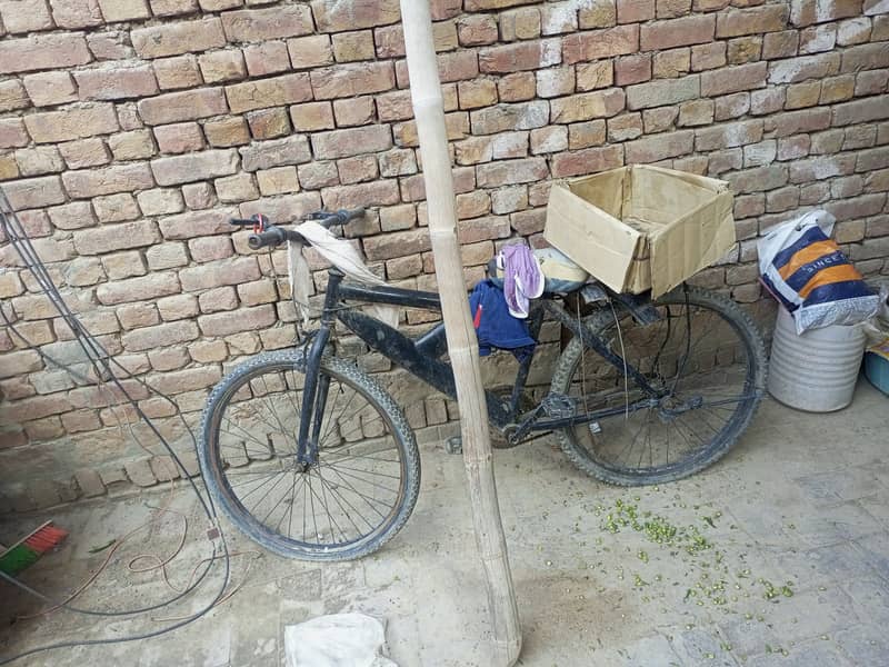 Cycle 0