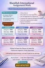 assignment writer
