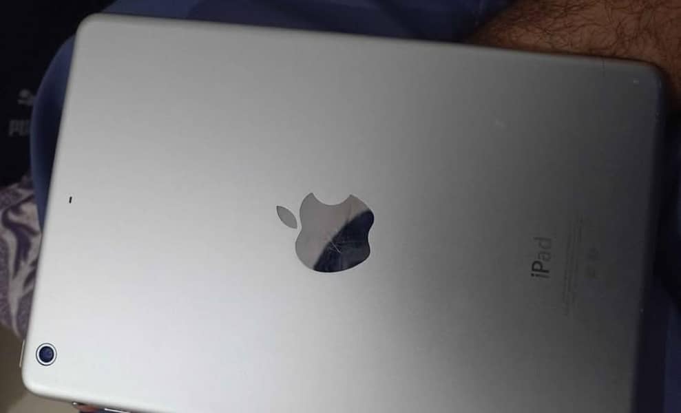 iPad mini 2 1