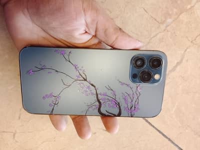 12 pro max dual physical PTA 256gb