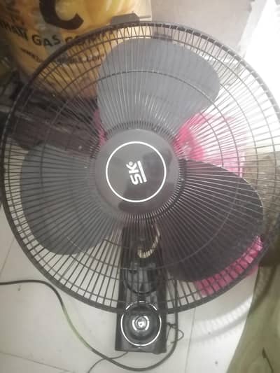 10 /10