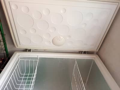 Haier deer freezer