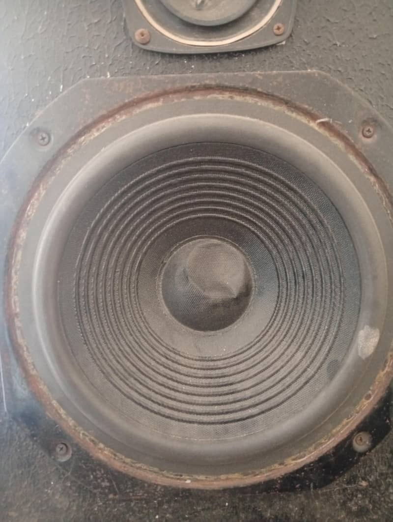 speaker 0