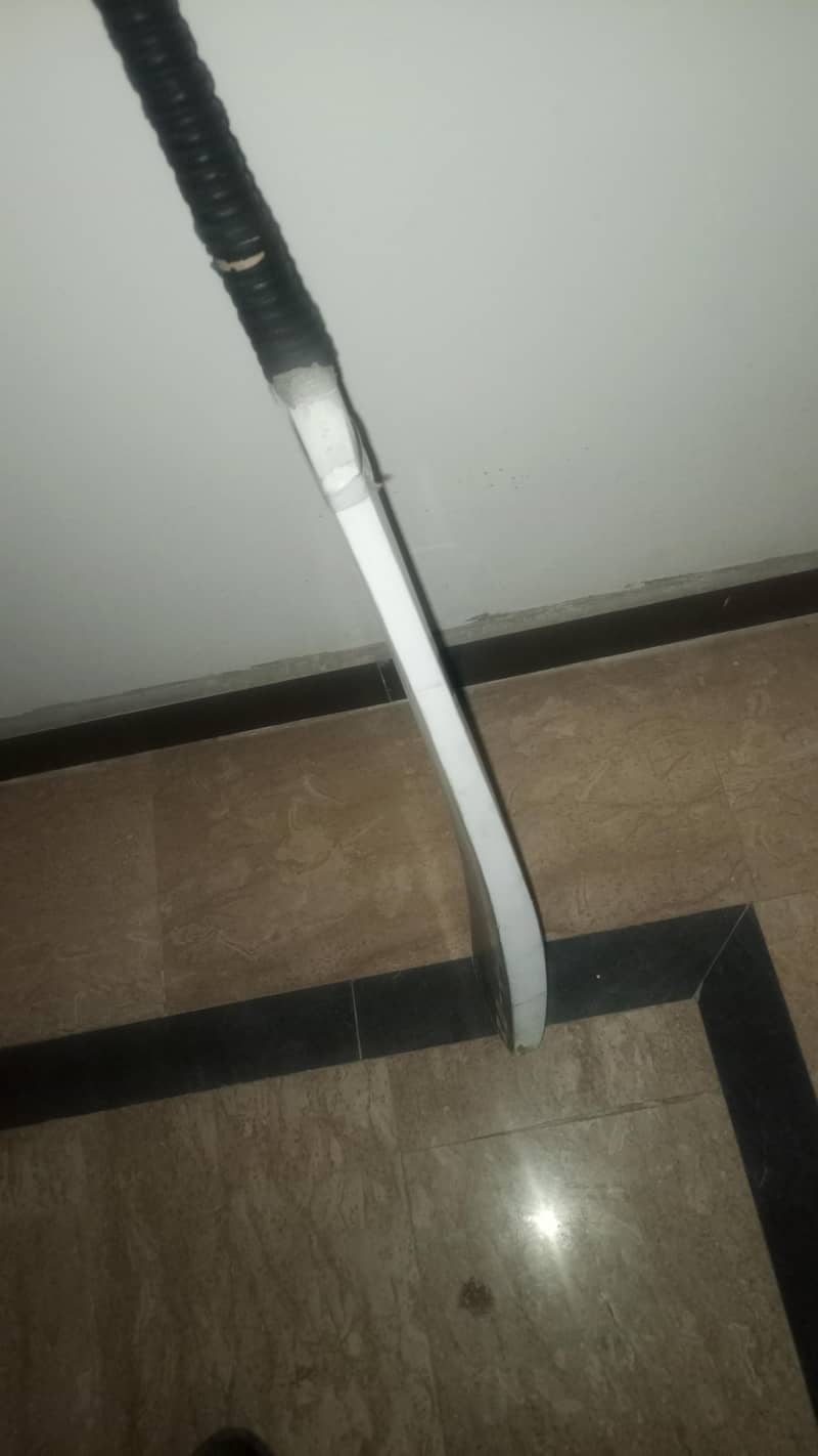 cricket bat 2