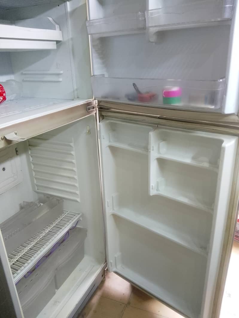 waves fridge 1