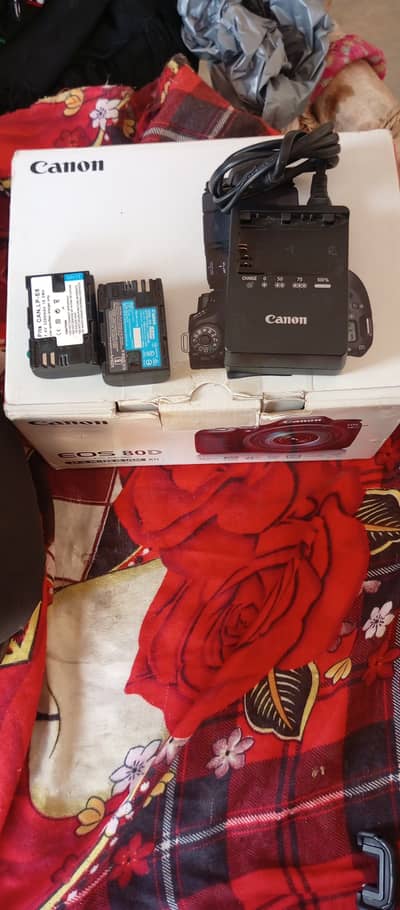 Canon 80d