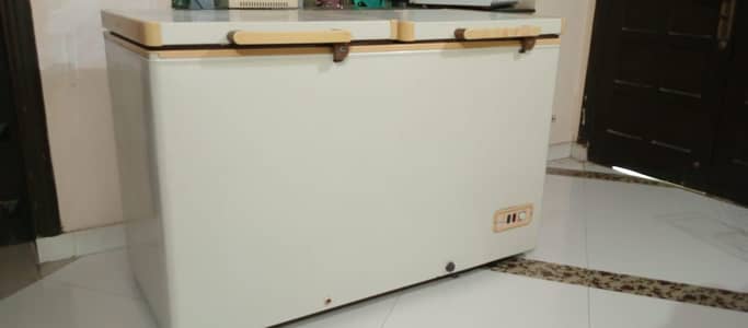 Dawlance Deep Freezer Twin Door with Partition