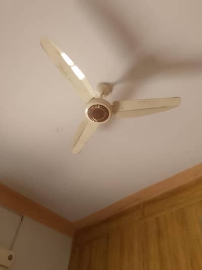 new fan 2month use 10/10